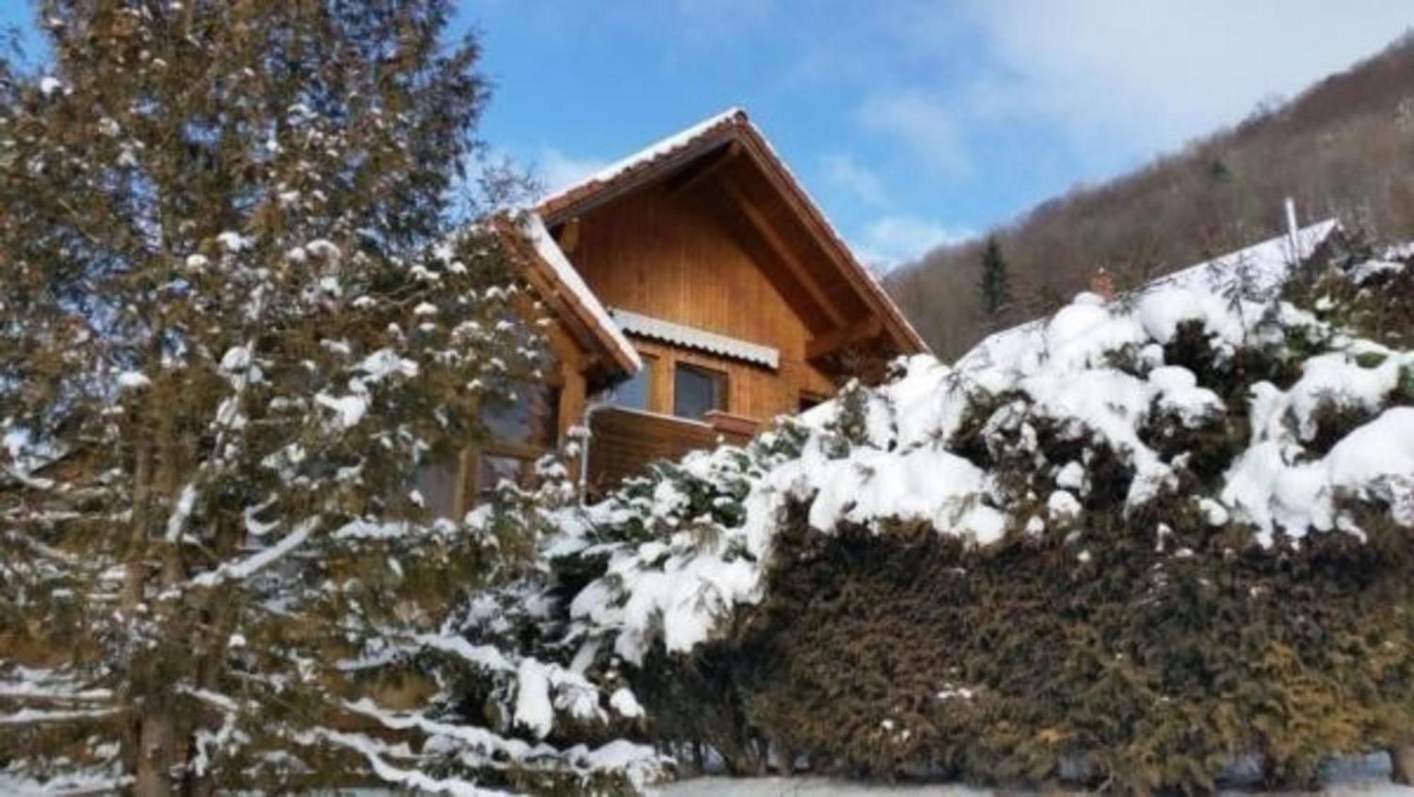 Wohnung In Bad Ditzenbach Mit Eigenem Garten Exterior foto