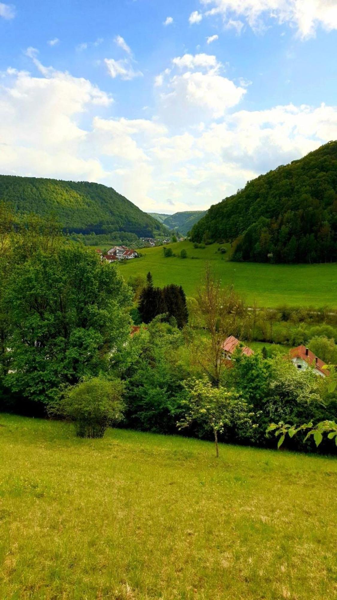 Wohnung In Bad Ditzenbach Mit Eigenem Garten Exterior foto